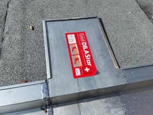 Galleries/Image11-(2).jpg